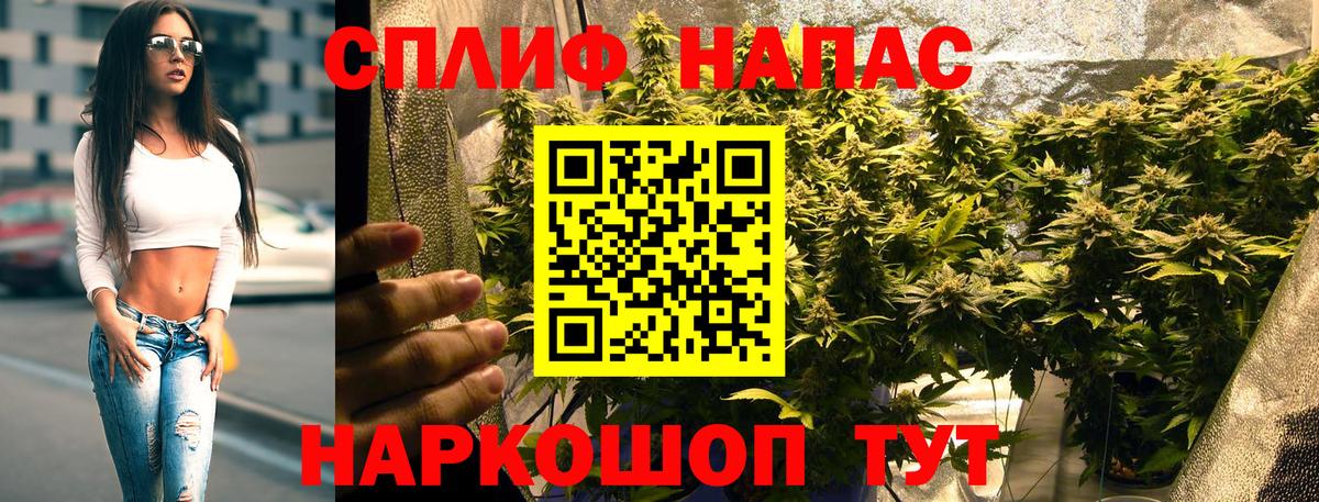 Конопля марихуана Трёхгорный